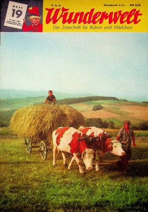 Wunderwelt 19/1965
