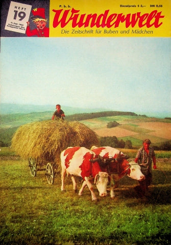 Wunderwelt 19/1965