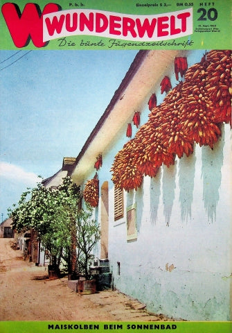 Wunderwelt 20/1963